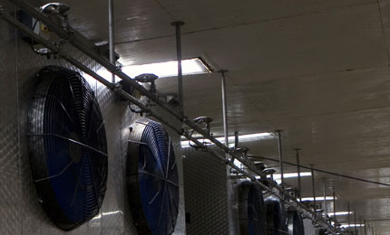Condair nemlendirici balık fabrikasına yılda 1 milyon dolar kazandırıyor